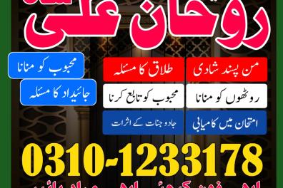 services_propositions_d_affaires Amil baba lahore, Am  